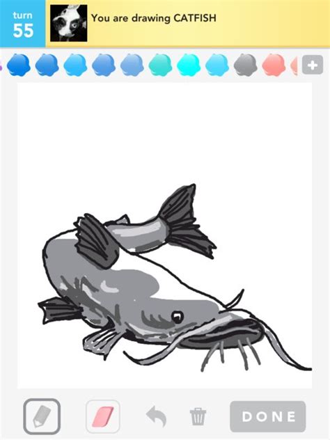 Catfish stock photos and images. Catfish Drawings - How to Draw Catfish in Draw Something ...