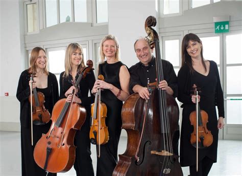 Bournemouth Symphony Orchestra Ensemble Concerts Strings Carn To Cove