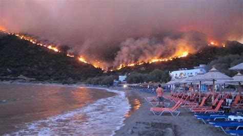 Griechenland Waldbrände Zerstören Mastix Baumharz Auf Chios