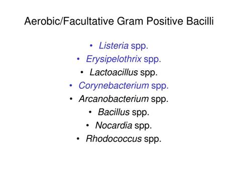 Ppt Aerobicfacultative Gram Positive Bacilli Powerpoint Presentation