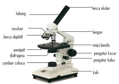Fungsi Mikroskop Serta Bagian Dan Jenisnya Fungsi Alat