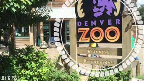 Denver Zoo Vlog 2 Youtube