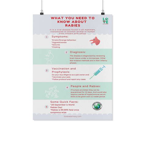 What You Need To Know About Rabies Poster I Love Veterinary