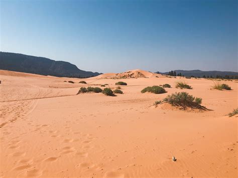 Utah Coral Pink Sand Dunes Moderately Adventurous