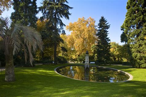 El Real Jardín Botánico de Madrid Madrid Dealers