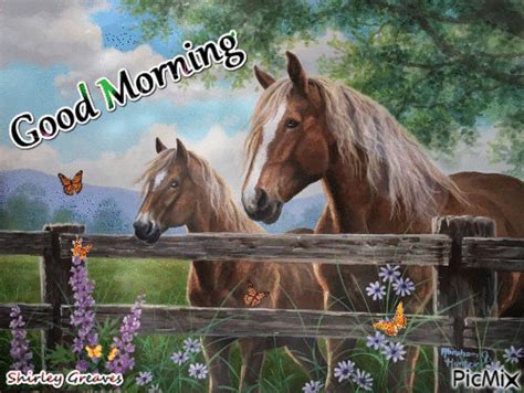 Horse Good Morning Animated  Pictures Photos And Images For