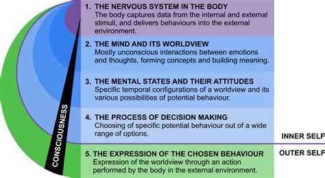 Worldviews, A Mental Construct Hiding the Potential of Human Behaviour