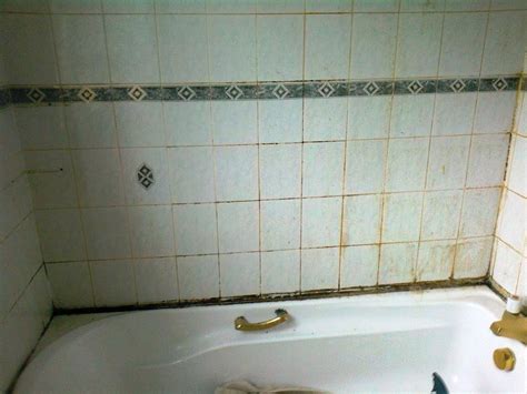 How to clean bathroom tiles. Terracotta tiles Archives - Cheshire Tile DoctorCheshire ...