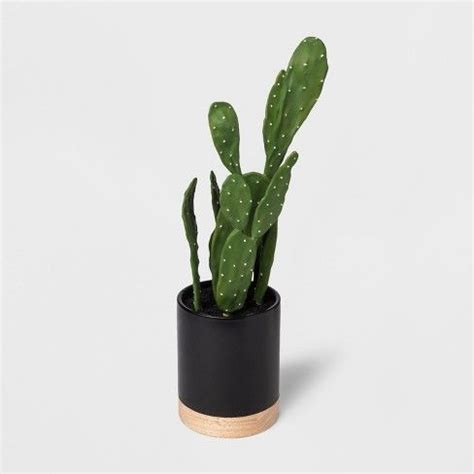 Idk how to fix this. Faux Cactus Plant in Black Pot - Project 62 : Target ...