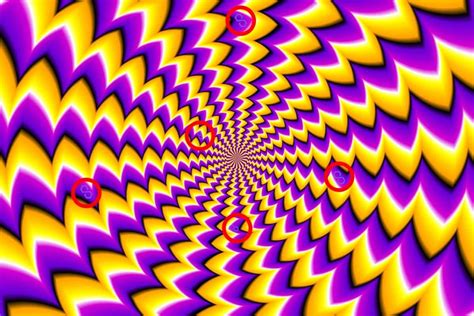 Optical Illusion Challenge How Many Polygon Tokens You Can Find In 5