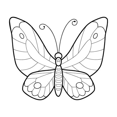 Premium Vector Coloring Book Or Page For Kids Butterfly Black And