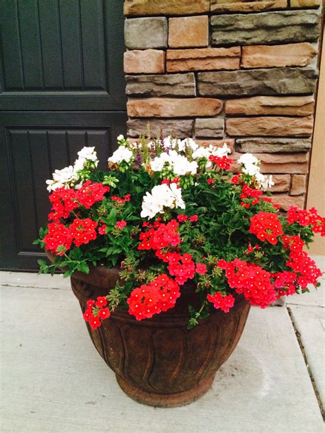 Flower Container Container Flowers Garden Projects Container Gardening