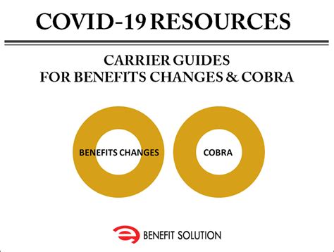 Cobra insurance extends your health plan coverage when an employer's plan ends life (other than gul), accident, critical illness, hospital indemnity, and disability plans are insured or administered by life insurance company of north america, except in ny, where insured plans are offered by. COVID-19 RESOURCES | Carrier Guides For Benefits Changes & COBRA | E-benefitus.com