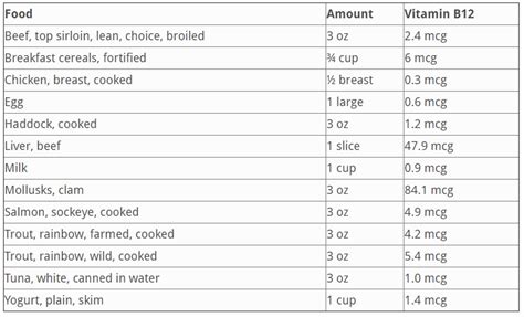 Everything You Need To Know About Vitamin B12