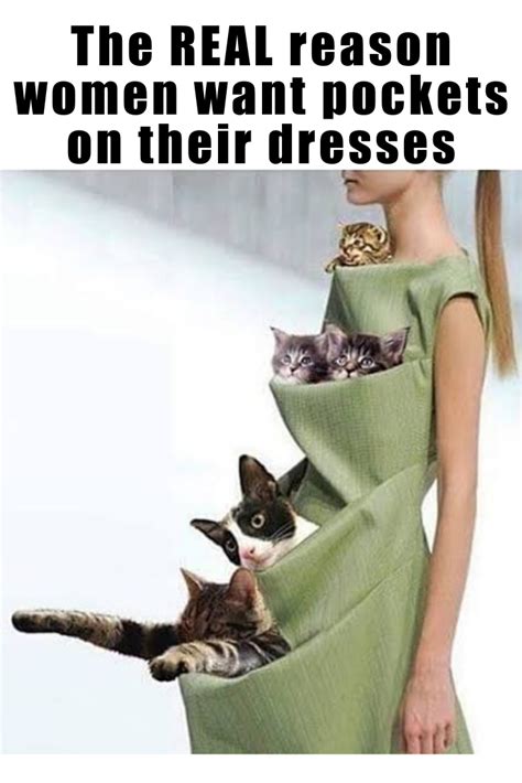 Cat Dresses Need To Be A Thing Cat Dresses Funny Fashion Crazy Cat Lady