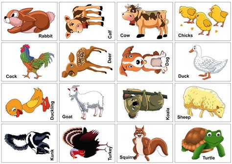 Pdf files for animals set 3: 15 Animal Flash Cards | Kitty Baby Love