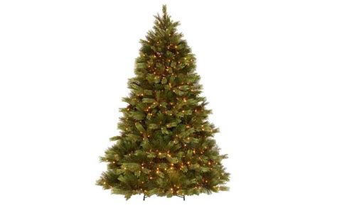 Best Real Christmas Trees For You The Home Depot