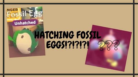 Hatching New Fossil Eggs Youtube