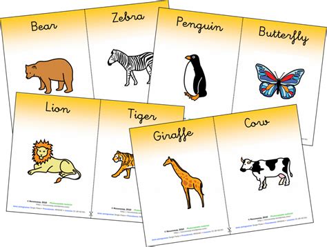 Animal Worksheet And Classroom Posters