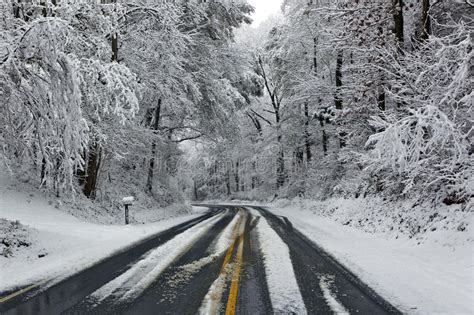 Road In Winter Snow Scene Royalty Free Stock Photography