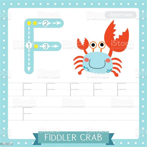 Letter F Uppercase Tracing Practice Worksheet Fiddler Crab Stock