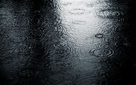 Wallpaper Nature Reflection Rain Water Drops Symmetry Texture