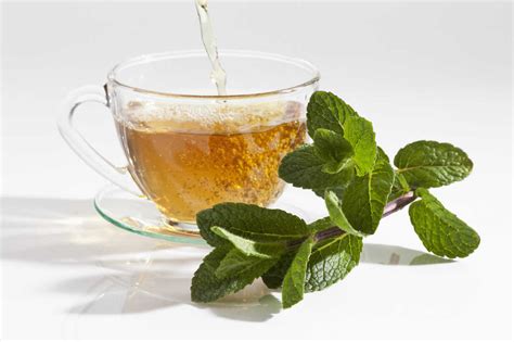 Moroccan Mint With Cup Of Mint Tea On White Background Close Up Stock