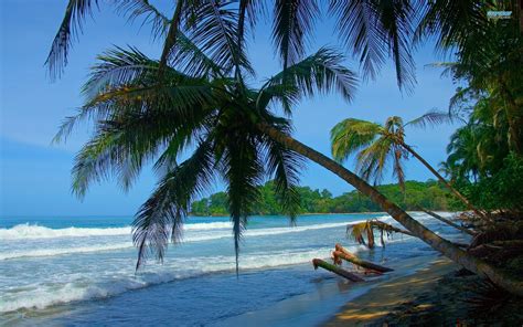 Limon Sportfishing In The Caribbean Coast Of Costa Rica