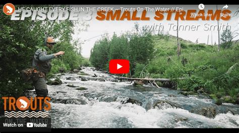 Video Fly Fishing For Trout In A Backcountry Creek The Venturing Angler