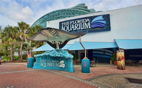 The Florida Aquarium Tampa Bay Night Life