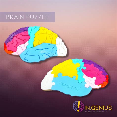 Brain Puzzle Ingenius Educação Criativa
