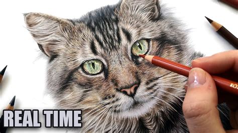 But i want to know how to draw a cat, not a teddy bear! How to draw CAT EYES in colored pencil | REAL TIME ...