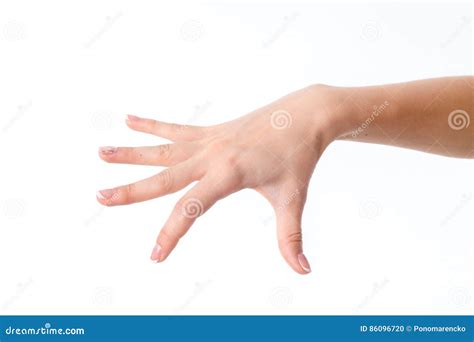 Female Hand Outstretched To The Side With A Deployed Down Palms And