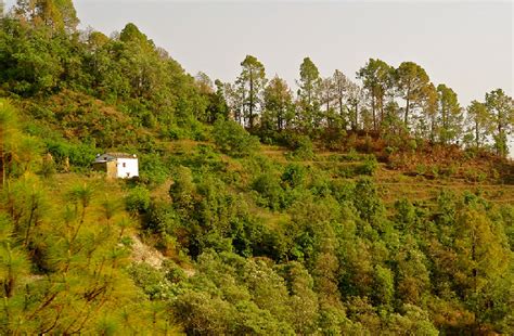 10 Best Things To Do In Mukteshwar On Your Trip India Travel Blog