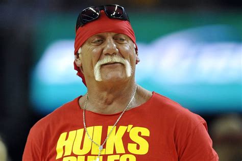 Hulk Hogan People Actually Feel Bad That The Media Has Been So