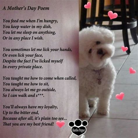 Pin By Susie White On Happy Mothers Day Mothers Day Poems Bichon