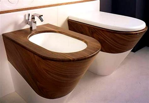Matching Toilet And Bidet House Elements Design