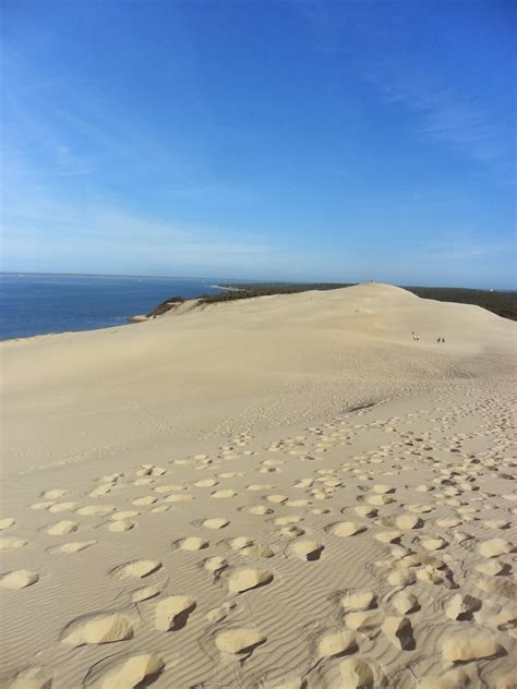 The desert in Europe - La Grande Dune du Pilat