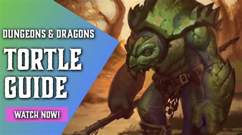 Tortle 5e Ultimate Race Guide For Dungeons And Dragons Dnd 5e Tips