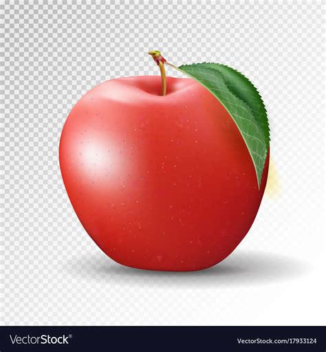 Red Apple On Transparent Background 3d Royalty Free Vector