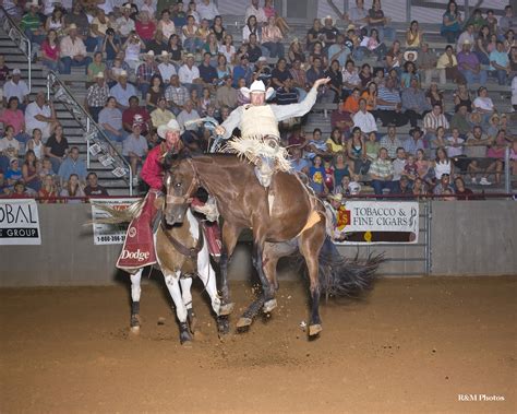 Brazos County Expo Bryan Tx Best Arenas