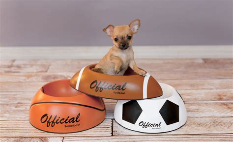 The 10 Coolest NEW Dog Products of 2014 - Page 6 of 10 ...
