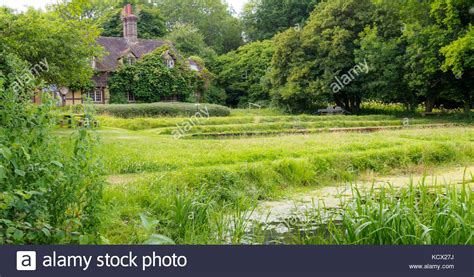Greens In The Woods High Resolution Stock Photography And Images Alamy