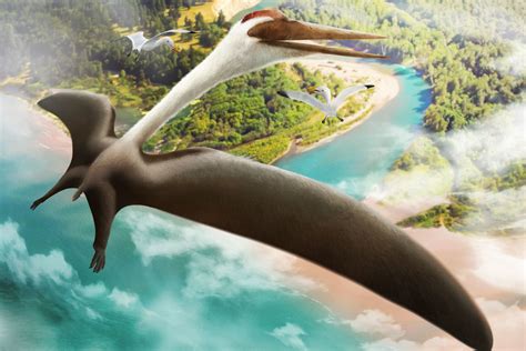 Quetzalcoatlus The Largest Flying Animal Of All Time Earth Archives