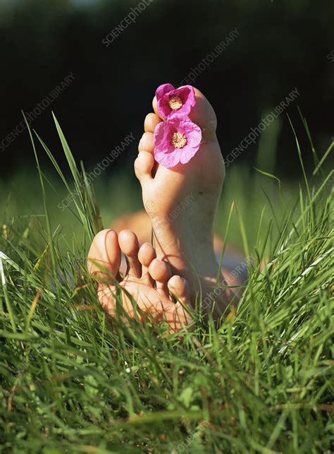 Feet With Flowers Stock Image P7010420 Science Photo Library
