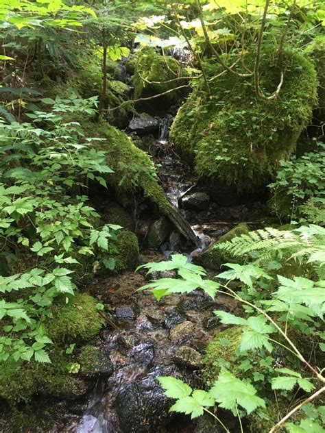 Surprise Creek Trail To Surprise And Glacier Lakes Washington Alltrails