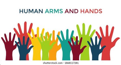 Group Raised Human Arms Hands Diversity Stock Vector Royalty Free
