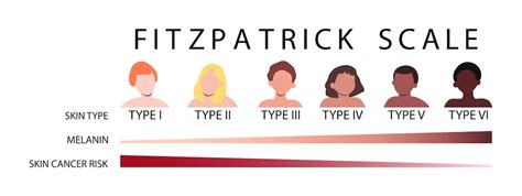 Premium Vector Fitzpatrick Scale Skin Types Infographic Vector