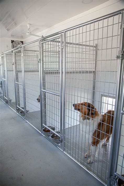 Commercial 20x60 Dog Kennel The Dog Kennel Collection