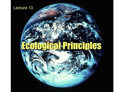 Ppt Ecological Principles Powerpoint Presentation Free Download Id